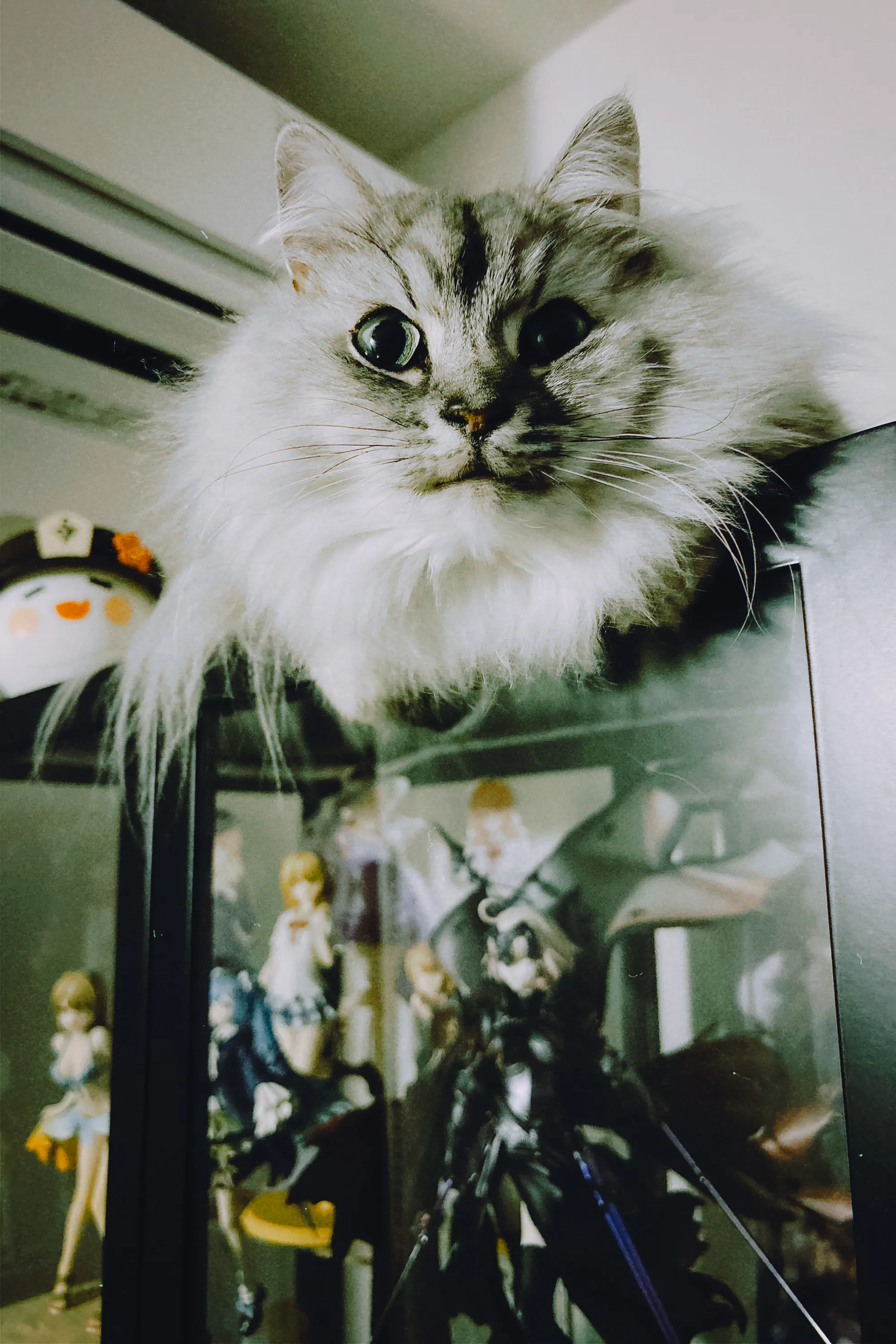 2026 — 01 — 26に撮影したうみの写真